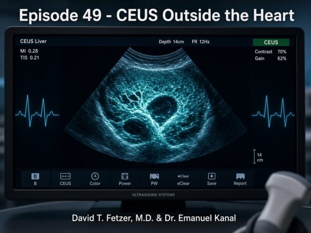 Episode 49 – CEUS Outside the Heart course image